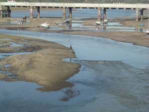 Good time to pick up a bass