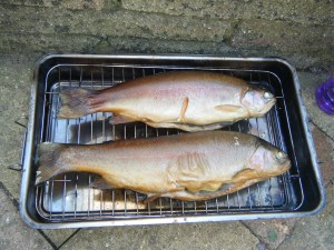 Dragonfly n smoker 001