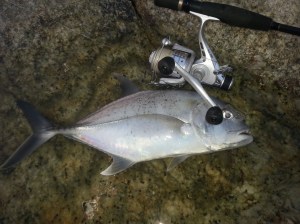 Travalli best yet 007