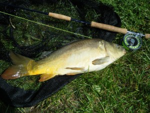 Carp on the fly 2015 005