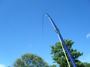 Carp on the fly 2015 006