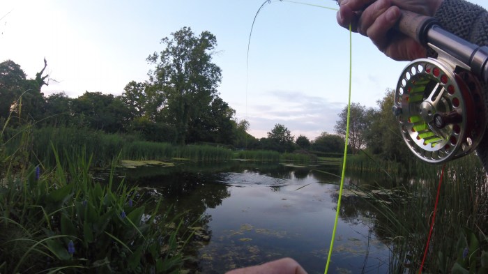 GOPR0293 Brownie on dry